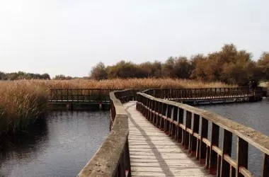 A pesar de las abundantes lluvias, las reservas subterráneas de Daimiel disminuyen
