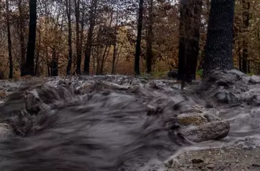 Las Cenizas de Incendios Forestales Contaminan el Agua: Una Alerta de Greenpeace tras las Lluvias