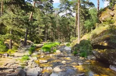 La Comunidad de Madrid Revela una Extensa Red de Observatorios de Fauna Silvestre