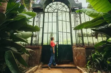 Día Global de los Jardines Botánicos: Custodios de la Biodiversidad Vegetal