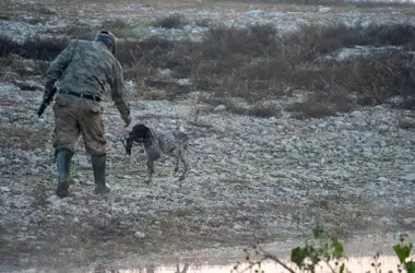 El Tribunal Superior de Madrid Detiene la Caza de Nueve Especies de Aves