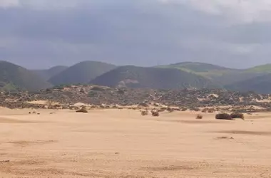La Influencia del Clima en la Vegetación Española: Hacia un Paisaje Más Resiliente
