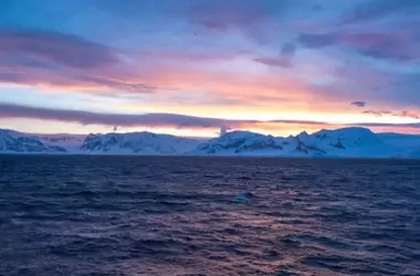 Piden Ampliar Zona Protegida Antártica para Resguardar Fauna Marina