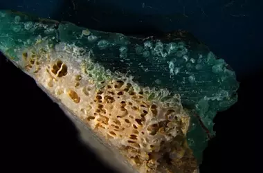 Descubrimiento de 'Plasticoral' en las Playas de Okinawa: Una Nueva Forma de Contaminación Plástica Amenaza los Ecosistemas Coralinos
