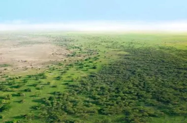La Gran Muralla Verde de África recibe una inversión millonaria para revitalizar sus tierras