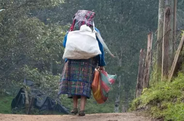 La FAO Aborda las Causas de la Pobreza Indígena y Propone Soluciones para el Bienestar