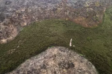 Reducción Histórica de la Deforestación en la Amazonía Brasileña