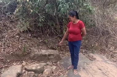 La controvertida disminución del agua subterránea: el impacto del eucalipto en Minas Gerais