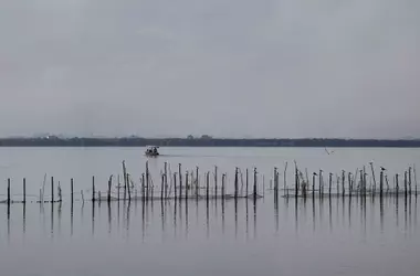 La Albufera: Resiliencia Ante la DANA y el Imperativo de la Restauración Ecológica