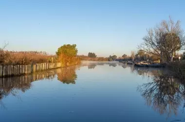 La Albufera: Recuperación Microbiana Post-DANA, Desafío Hídrico Persistente