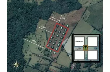 Estrategias de Reforestación: Comparando Métodos en la Restauración de Pastizales