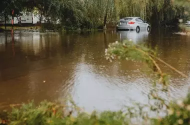 Urgencia en la Comunidad Valenciana: SEO/BirdLife Exige Medidas Contra Inundaciones y la Construcción en Zonas de Riesgo