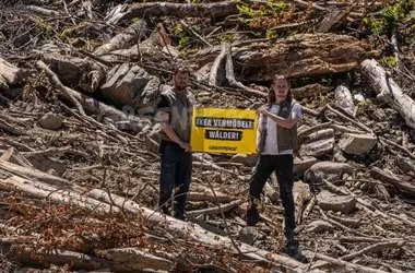 Ikea y la Deforestación en los Cárpatos: Acusaciones de Greenpeace y Defensa de la Empresa