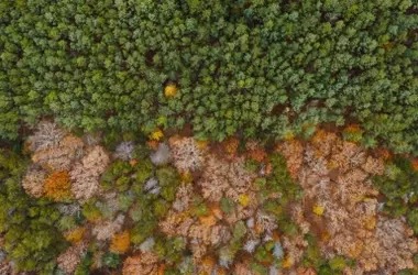 COP17 de Biodiversidad: Evaluación Global de Metas para 2030 en Ereván