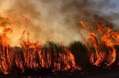 España Enfrenta Crisis Incendiaria: Más de 275.000 Hectáreas Calcinadas en 2026