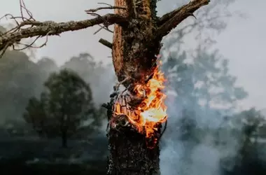 Incendios devastadores en Indonesia: casi dos millones de hectáreas calcinadas y humo se extiende a países vecinos