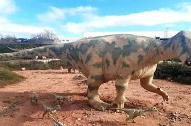 Descubriendo la Evolución Craneal del Iguanodon Galvensis en Teruel