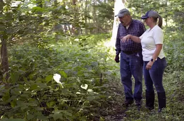 Transformando Tierras Agrícolas en Hábitats de Humedales: El Legado de Conservación de los Wicks