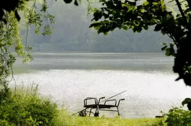 Cantabria permite la pesca de salmón en 2027 a pesar del declive de la especie
