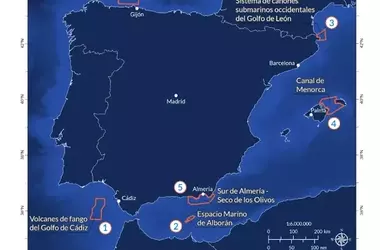 Oceana revela pesca de arrastre ilegal en santuarios marinos de la Red Natura 2000