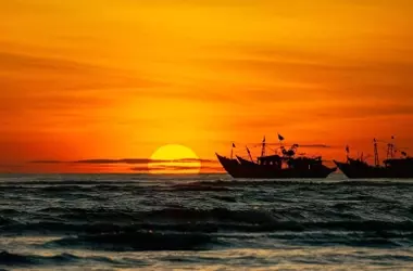 Oceana: La Pesca de Arrastre Amenaza Áreas Marinas Protegidas de España