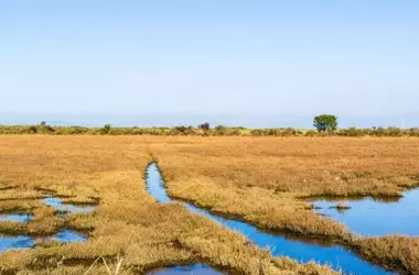 Urgencia en Doñana: Regantes Claman por Duplicar Fondos para Renaturalización