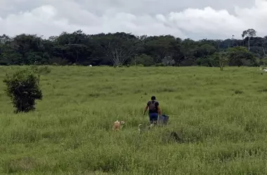 Alemania contribuye significativamente a la preservación de la biodiversidad colombiana