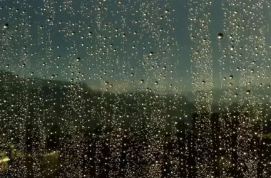 Lluvias Post-Incendios: WWF Advierte sobre Riesgos de Inundaciones y Contaminación Hídrica