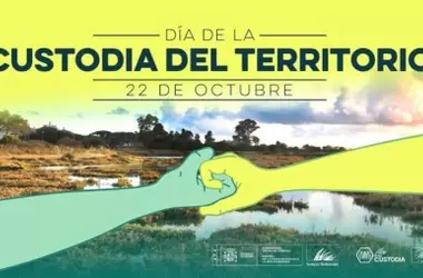 Cádiz Impulsa la Conservación de Salinas: Santuarios de Biodiversidad y Patrimonio