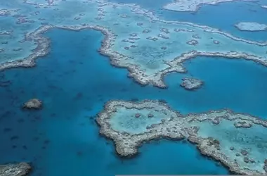 Arrecifes de Coral en Peligro Crítico: Un Futuro Incierto para el 96% de los Ecosistemas Mundiales para 2075