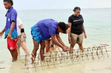 La Resiliencia de Naidiri: Un Faro de Esperanza para los Arrecifes de Coral en Fiyi