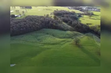 Un Legado Verde: La Restauración Forestal de Jonathan Capener en Staffordshire