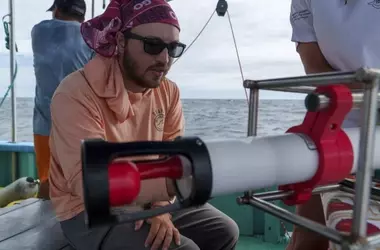 Misterio Oceánico: ¿Dónde Están las Ballenas Azules de Galápagos?
