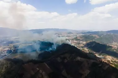 La vida microscópica del suelo: clave en la recuperación forestal post-incendios en Castilla y León