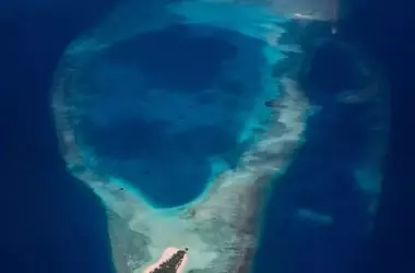 Descubriendo el Misterio de Hanifaru: El Remolino que Atrae a las Mantarrayas Gigantes