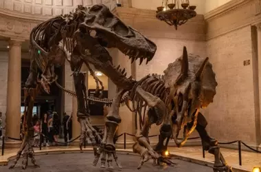 Dinosaurios: De F￳siles a Aves Modernas, Desmitificando el "Parque Jur￡sico"