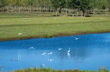 SEO/BirdLife Demanda Simplificación Agraria y Pesquera Sin Comprometer la Protección Ambiental