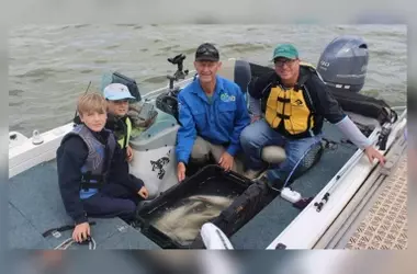 Casi 600 bacalaos de Murray reintroducidos en el lago Bonney y la pesca de captura y suelta prohibida hasta enero