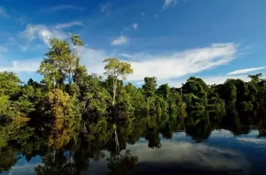 Países Bajos Apoya con 500 Millones de Dólares el Fondo para la Conservación de Selvas Tropicales en Brasil
