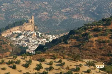 Transformación Revolucionaria del Alperujo: De Residuo a Recursos Valiosos
