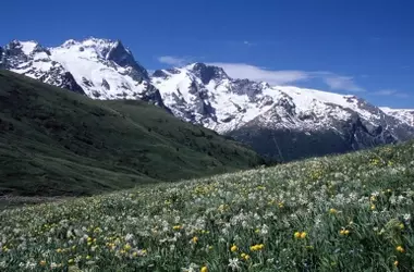 Detectando desde el Espacio los Cambios en los Ecosistemas Alpinos de León: Un Estudio Innovador