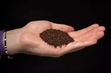 La UGR revoluciona el reciclaje de posos de café, transformándolos en recursos valiosos