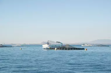 Oceana impulsa la sostenibilidad pesquera en España antes de las elecciones