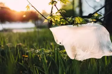 Avances en Plásticos de Origen Vegetal: El Proyecto SUPREME-PILOTS busca mayor resistencia y escalabilidad industrial