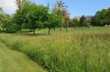 Santander Fomenta la Biodiversidad Urbana con Praderas sin Segar, Duplicando Especies de Mariposas