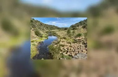 España Finaliza el Trazado de su Red Nacional de Vías Pecuarias Tras Décadas de Espera