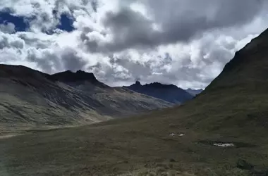 Descubierta una Nueva Orquídea 'Flor entre las Nubes' en los Andes Peruanos