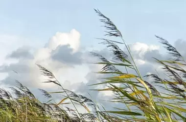 Pronóstico del Tiempo en España: Cielos Despejados y Vientos Fuertes en el Sur Peninsular