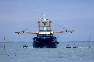 Diversidad genética marina florece en Menorca tras la prohibición de la pesca de arrastre