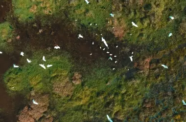 España insta a una respuesta global y acelerada ante la crisis de biodiversidad